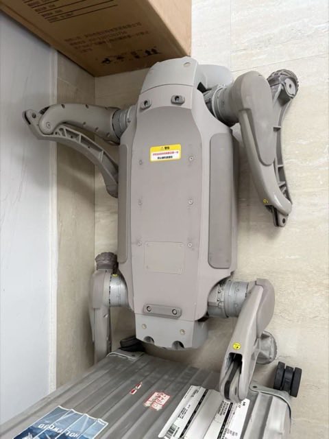 The actual robot dog for sale, shown in its original packaging