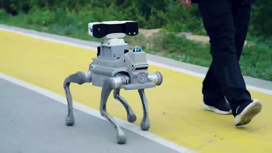 Robot dog walking on a path with AI sensor overlay