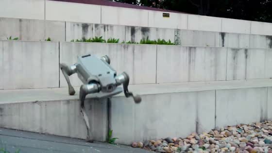 Robot dog demonstrating self-balancing on grass